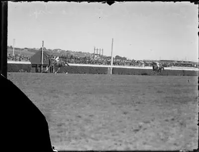 Horses Craven Plate And Phar Lap Competing In Race NSW 1931 Old Photo • $9