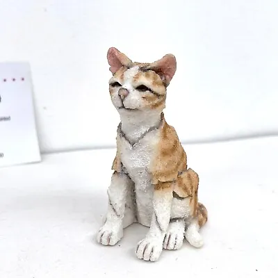 Country Artists A Breed Apart The Tabby Cat Ornament Figurine. Coco #19 • £22.99
