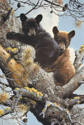 High Adveture (Detail) By Carl Brenders Bear Cubs Print 13x19 • $14.98