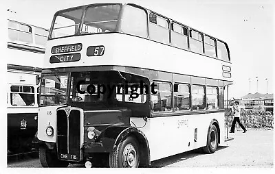 £1.10 • Buy Sheffield Transport OWE116 AEC Regent 111 Roe Black & White Bus Photo
