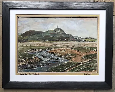 Original Irish Art Watercolour Painting Scrabo Tower From Castle Espie Co Down. • £105