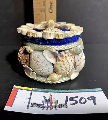 Vintage Sea Shell OWL Jewelry Keepsake Nautical TRINKET Box • $11.40