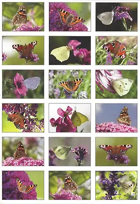 BUTTERFLY Card Toppers A4 Sheet 18 Butterfly Photos To Cut Out For Card Making • £1.30