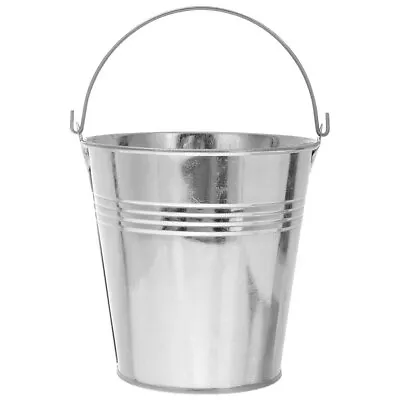 Mini Metal Ice Bucket With Handles For Party Favors And Crafts • $8.18