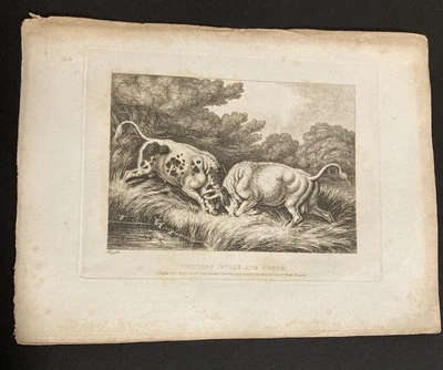 £9.99 • Buy Etching By Samuel Howitt  BULLS