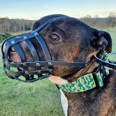 £22.99 • Buy  Real Leather Dog Muzzle For Staffordshire Bull Terrier Staffy , Staffie