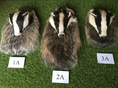 £600 • Buy New, Full Mask, Badger Dress Sporran 