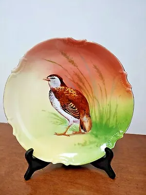 Quail Game Bird Cabinet Plate - Coronet Limoges - Wonderful • $29.25