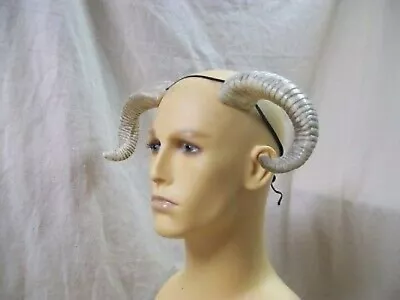 Aged Bone Twisted Ram Horns Pan Minotaur Goat Fantasy Mythical Big Horn Sheep • $14.95