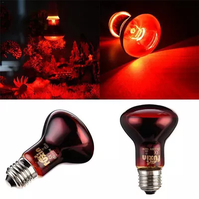 £9.23 • Buy LED Red Reptile Night Light UVA Infrared Heat Lamp Bulb For Snake Reptile UK