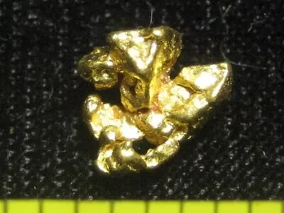 1.43 GRAM California Gold Nugget-Sierra Nevada Gold Specimen Jem. Purity 90% + • $125