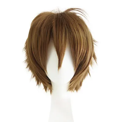 Men Male Short Full Wigs Boys Anime Cosplay Costume Party Synthetic Hair Wig Set • $14.99