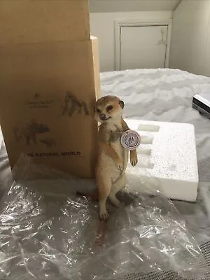 £4.50 • Buy Meerkat Baby Standing ,country Artists Figurine Brand New,boxed,stunning