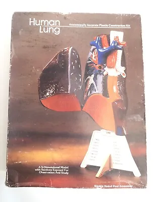 LINDBERG Human Lung Plastic Construction Kit *box Is A Bit Tatty* • £15