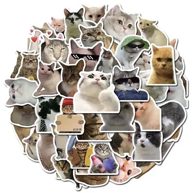 50pcs Cat Meme Stickers Funny Cute For Kids Laptop Notebook Water Bottle Or Gift • $5.25