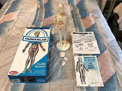 Vintage 1991 Skilcraft Humanlab VISIBLE WOMAN ~ 4623 ~ PREGNANT & NON ~ Complete • $24.97