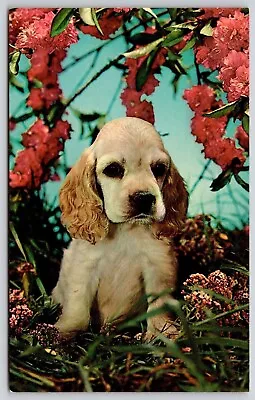 Greetings From Waring Texas TX Dog Pup Puppy Postcard UNP VTG Unused Vintage • $2.75