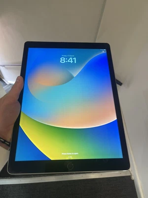 $255 • Buy Apple IPad Pro 12.9”, 1st Gen Wi-Fi 128GB, Space Grey (AU Stock)