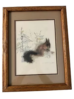 Mads Stage Denmark Squirrel Oak Framed Matted Litho Signed 19” X 14.5” • $68