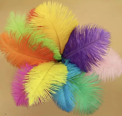 10pcs Random Mix Colour Ostrich Feathers 25-35cm Craft Millinery Decor Costume • $11.95