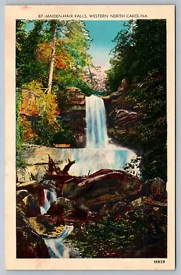 Postcard Maiden Hair Falls Western North Carolina NC Mountain Waterfall Vintage • $3.36