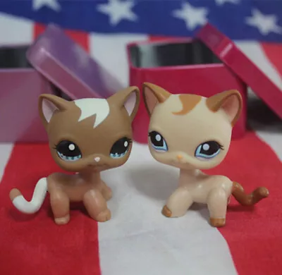£4.79 • Buy 2pcs/lot LPS Toys  Pet Shop  Short Hair  Cat #1170#1024  Animal Figures