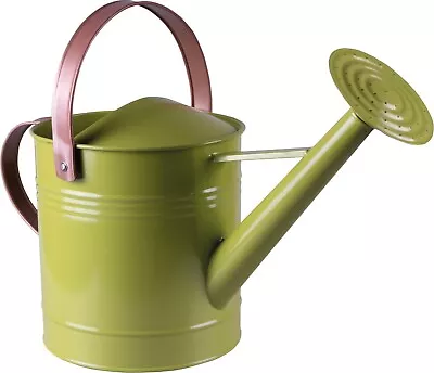 Metal Watering Can With Sprinkler Nozzle 2 Handles & 4.5L Capacity Green • £19.99