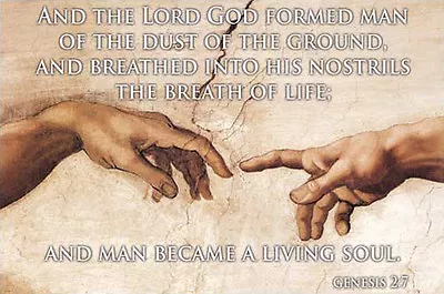 HANDS OF CREATION By Michelangelo Genesis 2:7 Biblical Inspiration 24x36 POSTER • $19.99