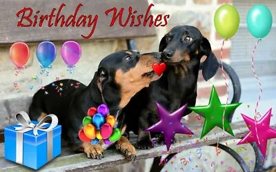 Birthday Wishes Dachshund Card A5 Greeting Blank Dachshunds Sausage Dog Dogs UK • £3.39