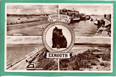 £5.50 • Buy EXMOUTH * GOOD LUCK MULTI-VIEW RPPC * 1951 * TO: YNYSDDU* GEO.VI 2d STAMP *J105