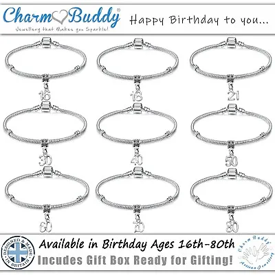 Womens Silver Plated Birthday Starter Charm Bracelet Age Pendant And Gift Box • £9.99