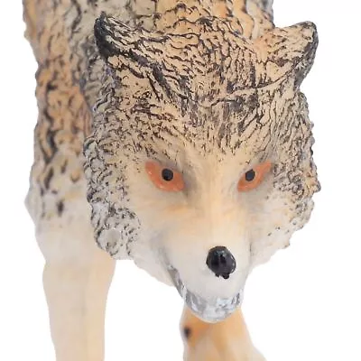 Lifelike Wolf Model Children Simulated Wolf Animal Toy Figurine Home Office • $11.97