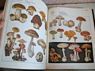 1973 Soviet Children's Encyclopedia PLANTS AND ANIMAL Vol.4 Russian USSR Vintage • $35