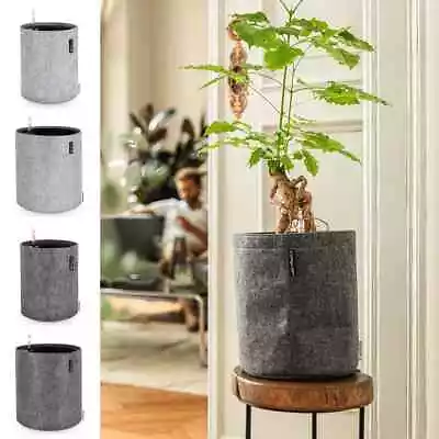 LECHUZA Planter ALL-IN-ONE Indoor Standing Planter Pot Raised Bed Plastic VidaXL • £32.99