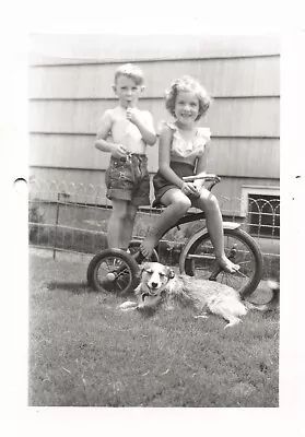 Vintage 1940 Photo Of Cute Little Boy & Girl On Tricycle With Dog Hot Summer Day • $6.99