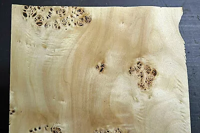 Mappa Burl Raw Wood Veneer Sheet 9 X 23 Inches 1/42nd                   I4682-31 • $14.99