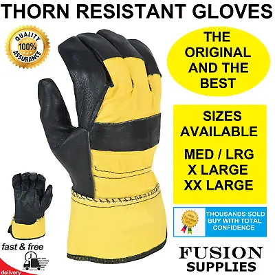 Thorn Proof Gardening Gloves Men's / Ladiescut & Thorn Resistant Pruning Rose • £6.99