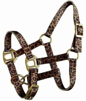 Showman Mini/Foal Premium Nylon Cheetah Halter With Brass Hardware! FREE SHIP! • $19.76