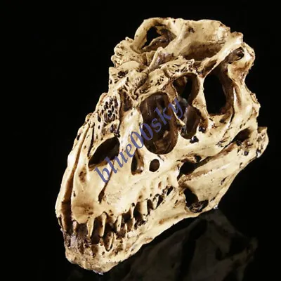 Tyrannosaurus T-Rex Skull Resin Fossil Model Dinosaur Collectibles Replica New • £16.31