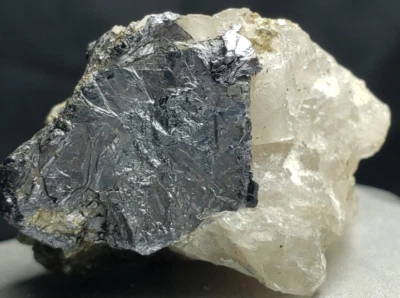 $18 • Buy Molybdenite Specimen From Moly Hill, QC. (20 Grams)