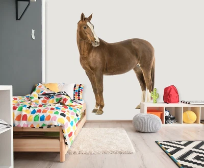 £164.39 • Buy 3D Horse N54 Animal Wallpaper Mural Poster Wall Stickers Decal Amy