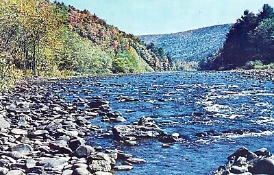 Loyalsock Creek Wallis Run Susquehanna River Montoursville Pennsylvania Postcard • $9.44