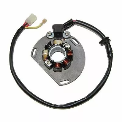 $128.26 • Buy ElectroSport Lighting Stator For 2006-12 KTM 125/144/150/200/250 - ESL239