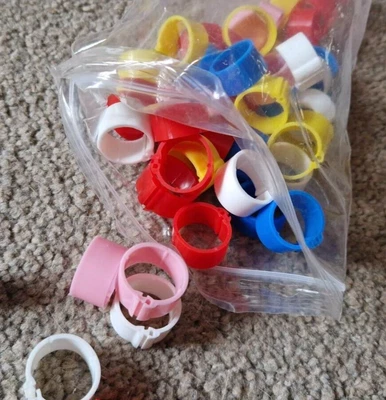 £1.99 • Buy 50 X 16mm Eton Clic Leg Rings Chicken Poultry Hens Ducks Birds NEW
