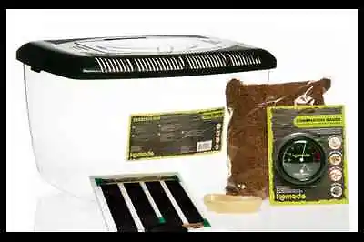 £35.99 • Buy Komodo  Millipede Starter Kit Plastic Tank Heat Mat Substrate Bowl Vivarium