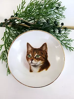 Durability Falcon Ware Pin Dish Brown Tabby Cat With Green Eyes • $12