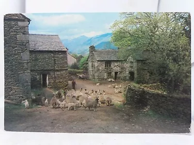 Vintage Postcard A Lakeland Farm Cockermouth Cumbria 1970s  • £5.75