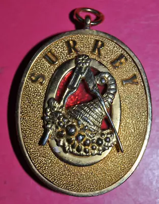 £15 • Buy Surrey Past Provincial Grand Steward Masonic Collar Jewel