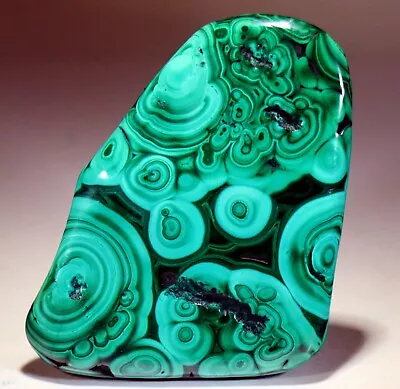 3.55  4.5 Oz Top Quality Polished Bull's Eye Malachite Congo! M667 • $35