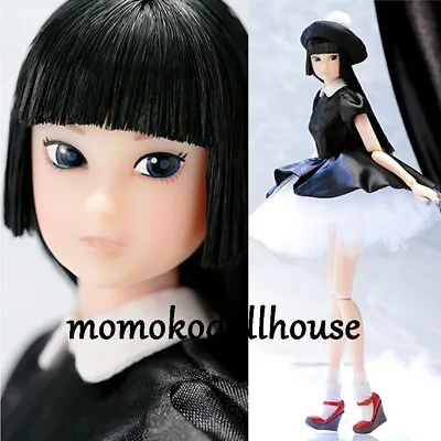 CCS Petworks MOMOKO Doll 17SS • $295.20